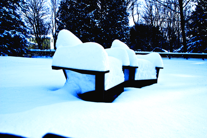 adirondack classic chair (010)