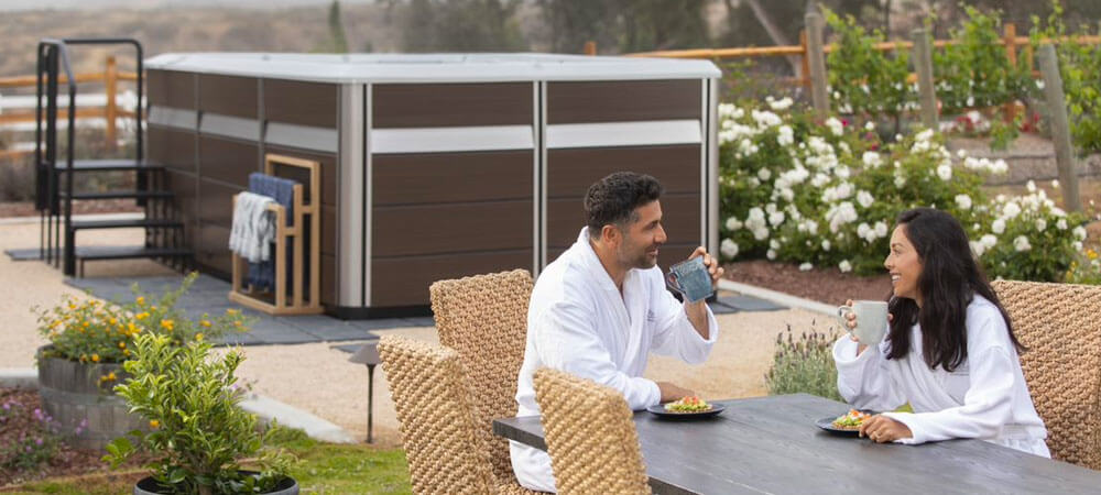 e550 endless pools swim spa