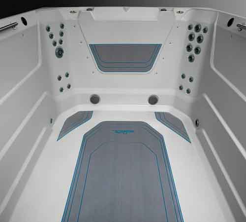 e550 endless pools swim spa