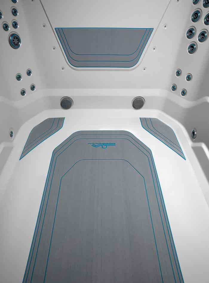 e550 endless pools swim spa