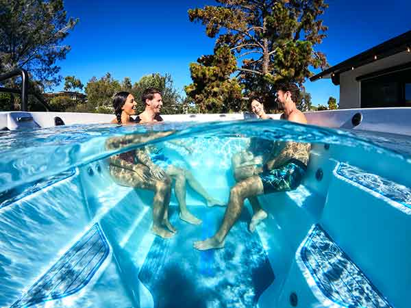 r220 endless pools swim spa