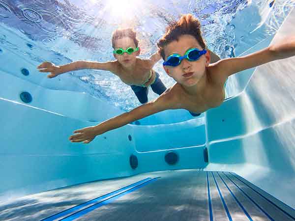 r220 endless pools swim spa